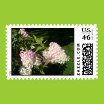 PG Hydrangea Blossoms Postage stamps