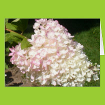 PG Hydrangea Card cards