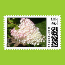 PG Hydrangea Postage stamps