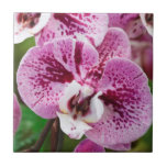 Phalaenopsis flower ceramic tiles