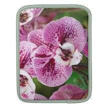 Phalaenopsis flower iPad sleeves