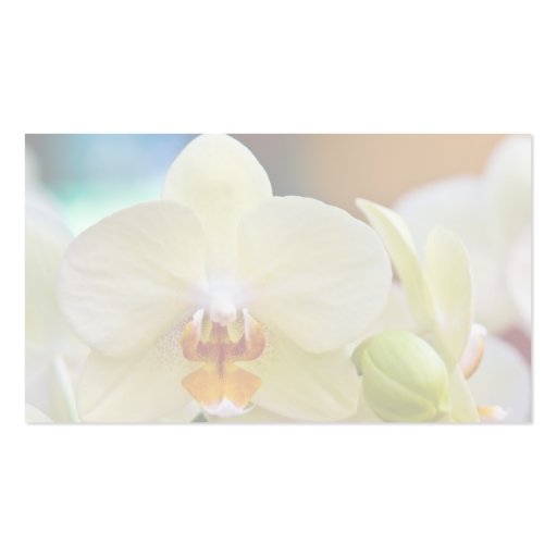 Phalaenopsis Orchid Business Cards (back side)