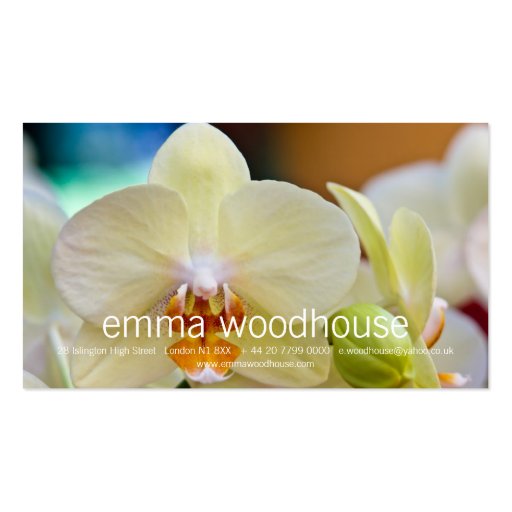 Phalaenopsis Orchid Business Cards