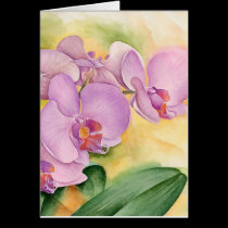 Phalaenopsis Orchid Flowers - Multi cards