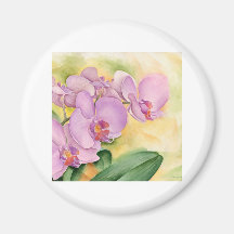Phalaenopsis Orchid Flowers - Multi Fridge Magnet