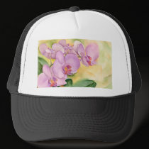 Phalaenopsis Orchid Flowers - Multi hats