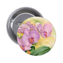 Phalaenopsis Orchid Flowers - Multi buttons