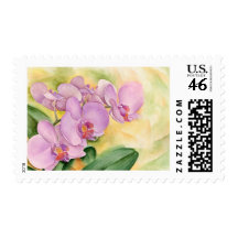Phalaenopsis Orchid Flowers - Multi Postage Stamps