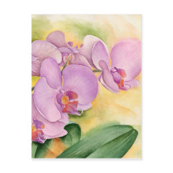 Phalaenopsis Orchid Flowers - Multi postcard