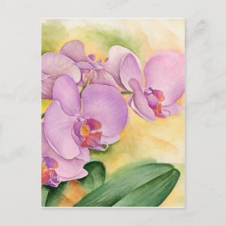 Phalaenopsis Orchid Flowers - Multi postcard