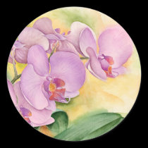 Phalaenopsis Orchid Flowers - Multi stickers