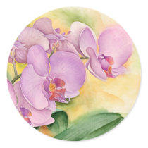 Phalaenopsis Orchid Flowers - Multi stickers