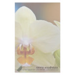Phalaenopsis Orchid stationery