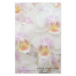 Phalaenopsis Orchid stationery