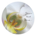 Phalaenopsis Orchid Wedding Invitation Seals stickers by naturalilly Phalaenopsis Orchid Wedding Invitation Seals stickers