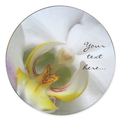 Phalaenopsis Orchid Wedding Invitation Seals Sticker by naturalilly