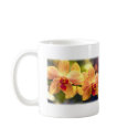 Phalaenopsis Orchid with Yellow and Red Stripes mugs