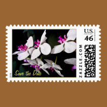 Phalaenopsis Orchids stamps