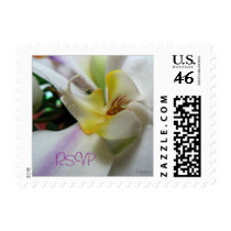 Phalaenopsis Photo RSVP Postal Square Small postage