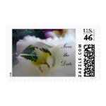Phalaenopsis Photo Save the Date Wedding Postage stamp