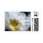 Phalaenopsis Photo Wedding Invitation Postage stamp