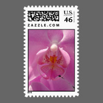 Phalaenopsis stamps