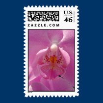 Phalaenopsis postage