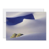 Phantom of the dune announcement