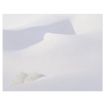 Phantom of the dune letterhead template