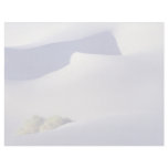 Phantom of the dune letterhead template