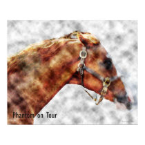 Phantom on Tour posters