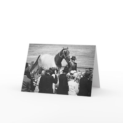 Phar Lap runs late Card by JennieM