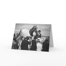 Phar Lap runs late cards by JennieM Phar Lap runs late cards