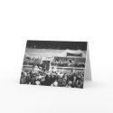 Phar Lap Wins Cup cards by JennieM Phar Lap Wins Cup cards