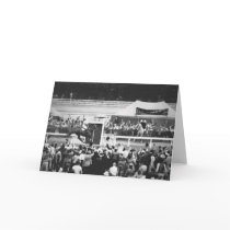 Phar Lap Wins Cup cards