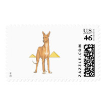 Pharaoh Hound postage