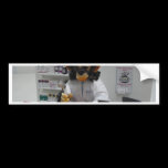 pharmacist bumper stickers
