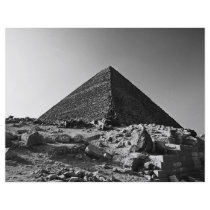 Pharoahs flyers