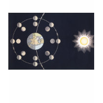 Phases of the Moon t-shirts