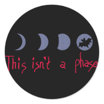 Phases Sticker
