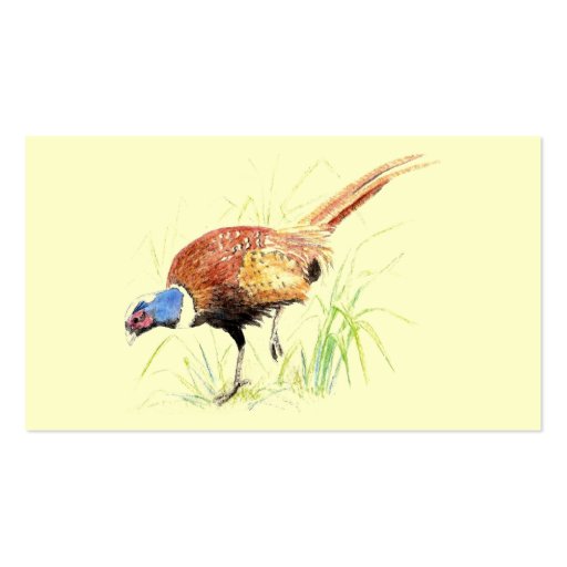 Pheasant, Bird, Nature, Environment, Business Card (back side)