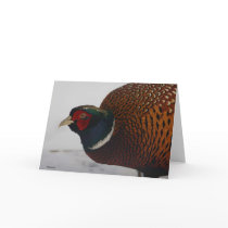 Pheasant cards