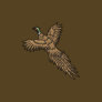 Pheasant