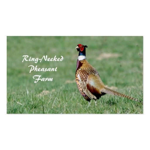 Pheasant farm business card (front side)