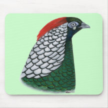 Pheasant:  Lady Amherst Head Mouse Pad