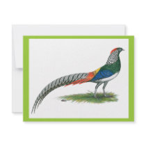 Pheasant: Lady Amherst invitations by diane_jacky Pheasant: Lady Amherst invitations