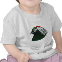 Pheasant:  Lady Amherst Rooster Tshirt