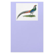 Pheasant: Lady Amherst stationery by diane_jacky Pheasant: Lady Amherst stationery