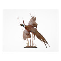 Pheasant Mount Personalized Announcements