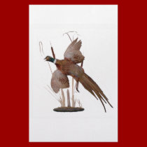 Pheasant Mount stationery